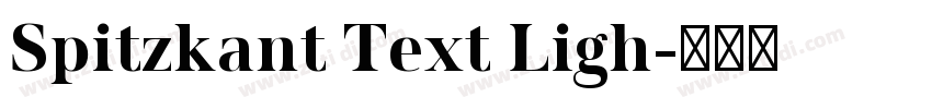 Spitzkant Text Ligh字体转换